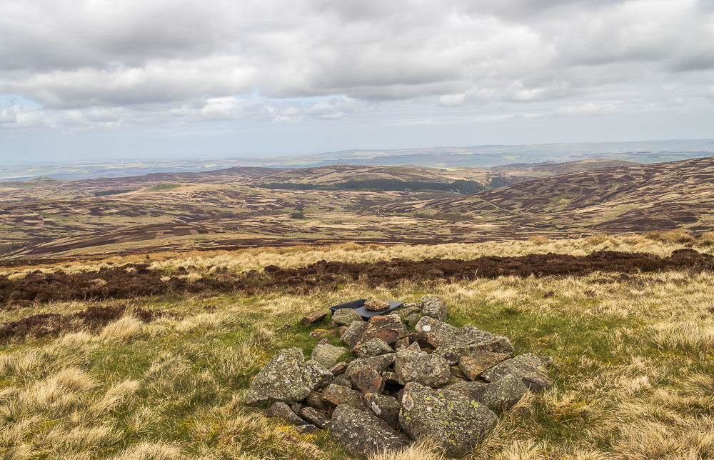 Great Moor Great Moor